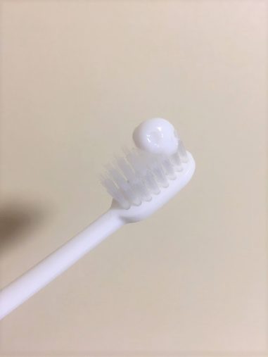 サンスター「オーラツー プレミアムクレンジングペースト [プレミアムミント]」17g