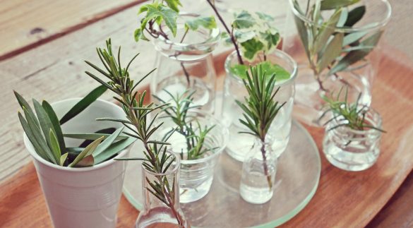 上手い下手に経験人数は関係ない。それより大事なのは…