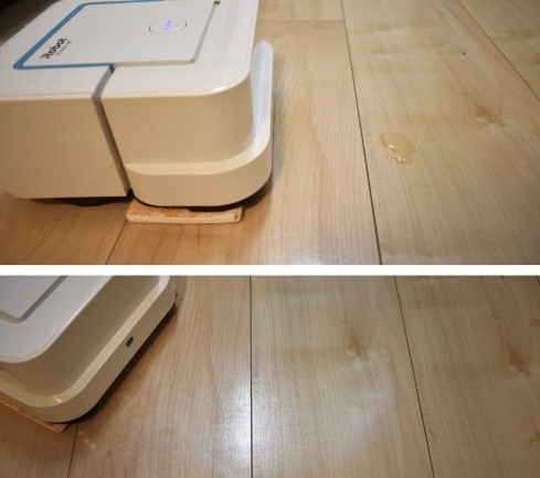 （上：清掃前　下：清掃後）