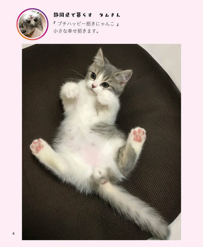 「へそ天」よりタムさん