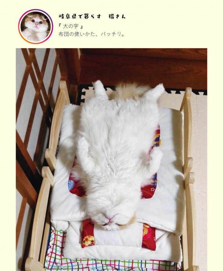 「へそ天」より福さん