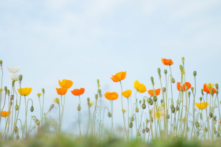 短期間でいろんな人と会ったことがプラスに
