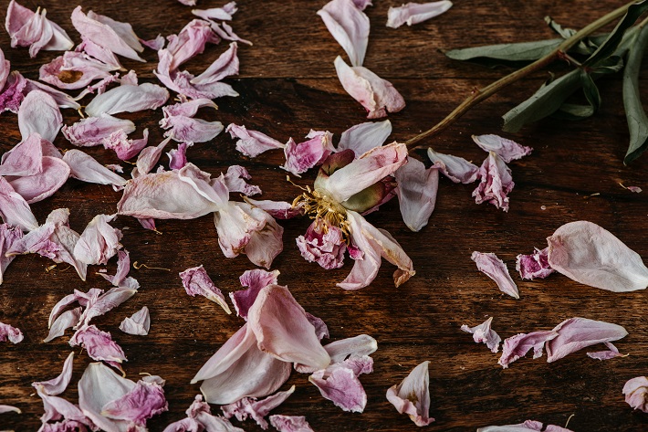 不倫された妻の感情的視点