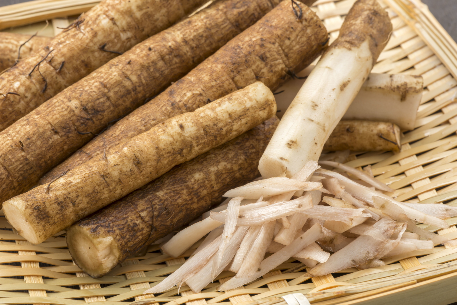 ゴボウ　ごぼう