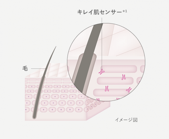 キレイ肌センサー イメージ図