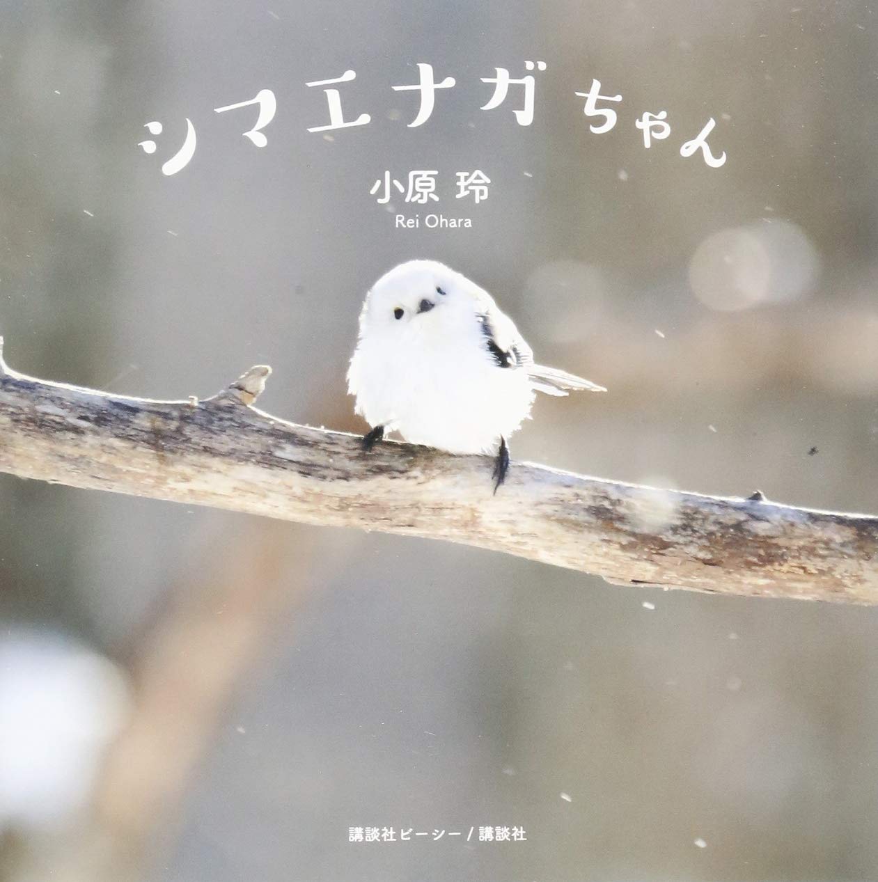 小原玲『シマエナガちゃん』（講談社、2016年）