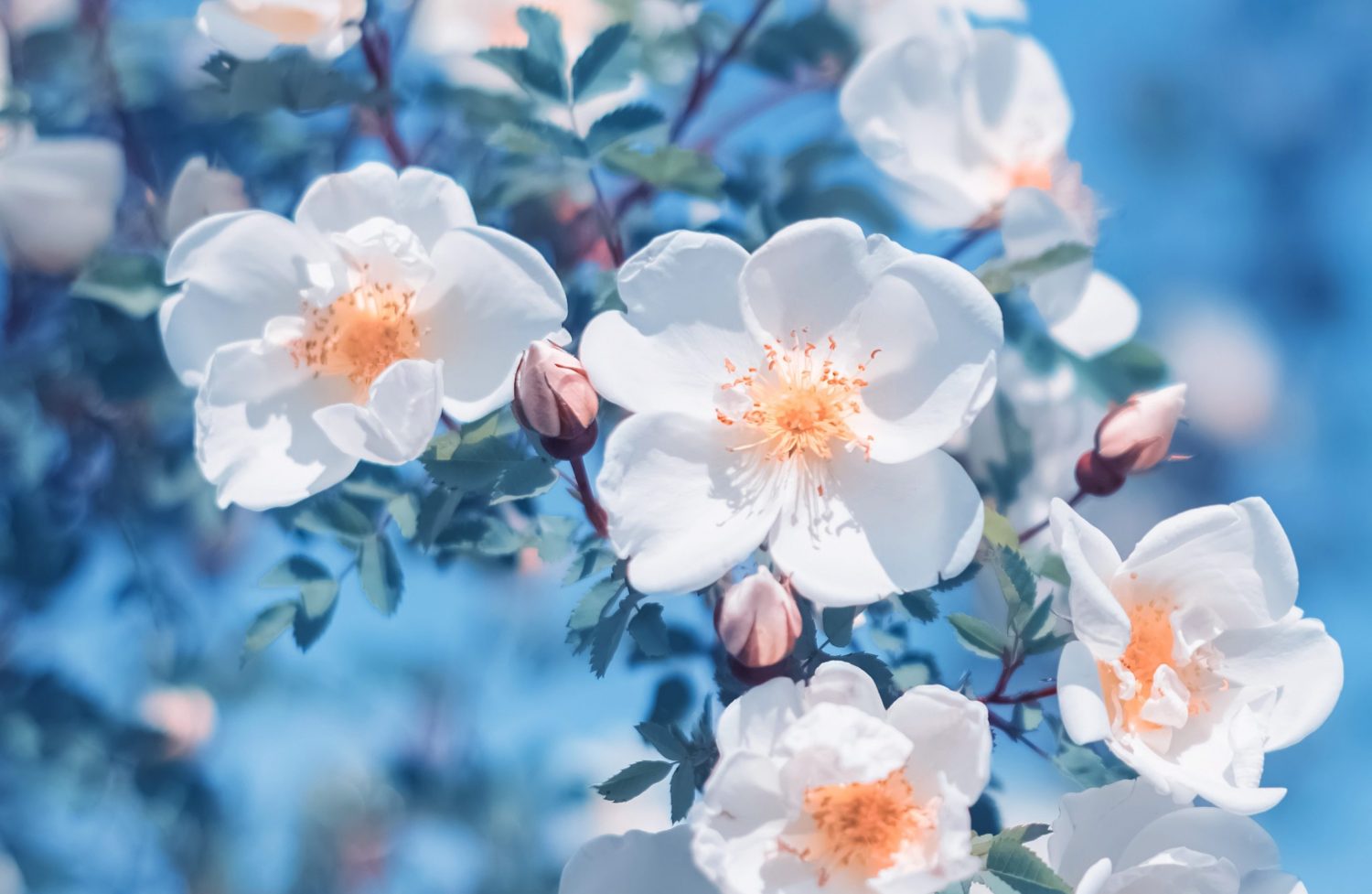 森林の回答　、あなたがどうしたいかがポイント