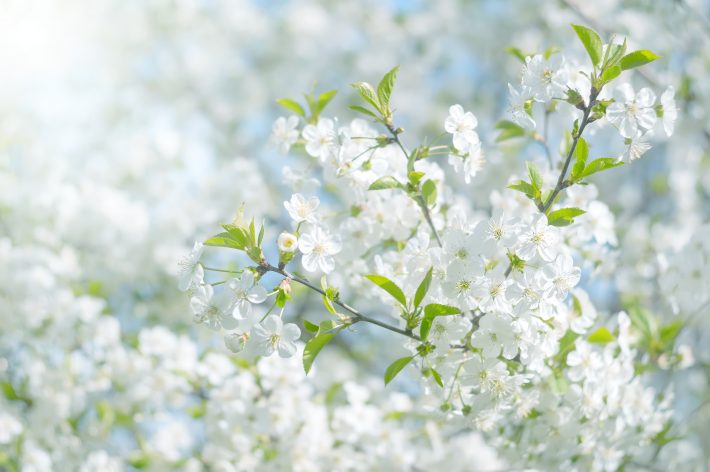 性活相談174回　森林の回答