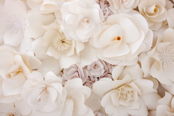 本物の「好き」ってなに？