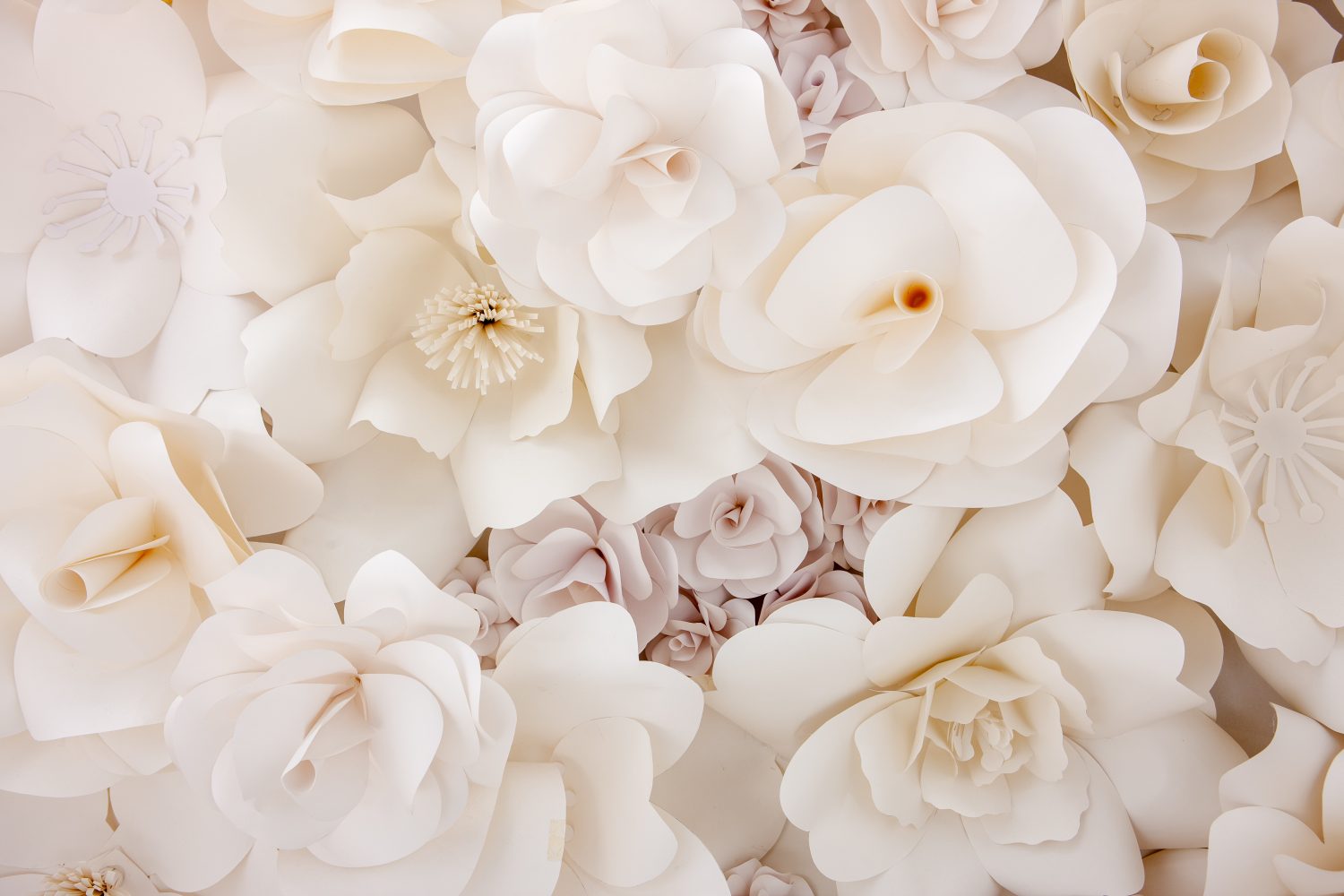 本物の「好き」ってなに？