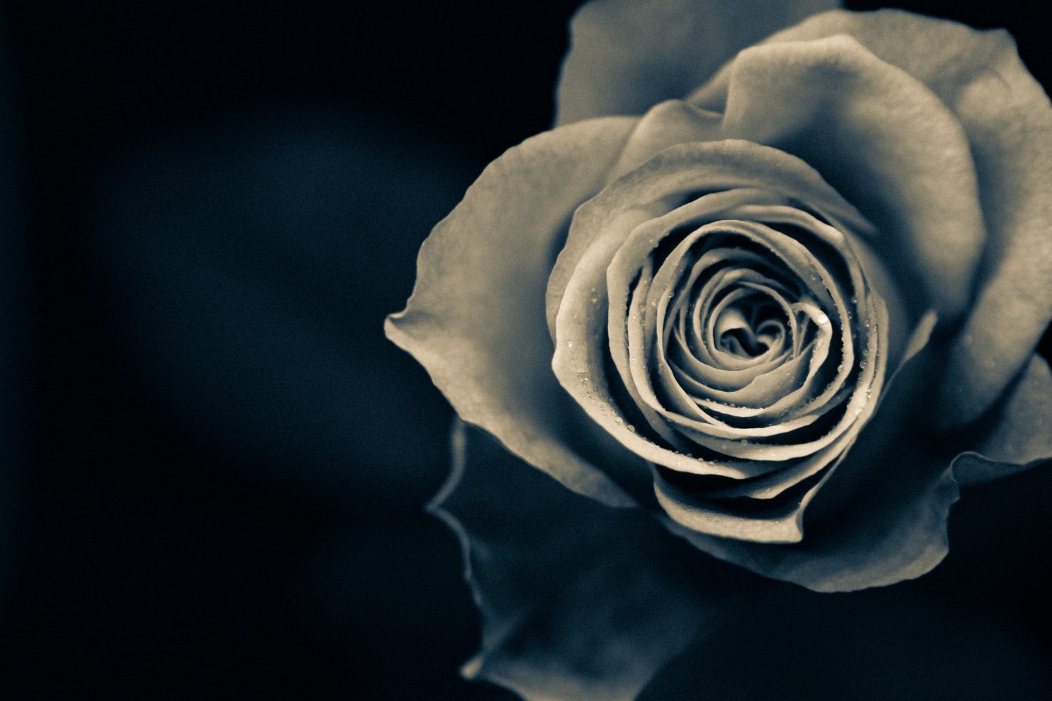 相手を自分のモノにしたいという欲望の正体