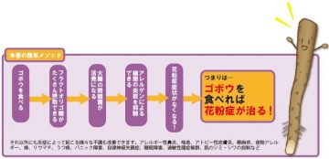 小柳津広志著『花粉症は1日で治る！』（自由国民社刊）