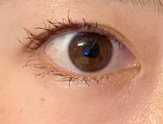 セザンヌ　塗ってから8時間後