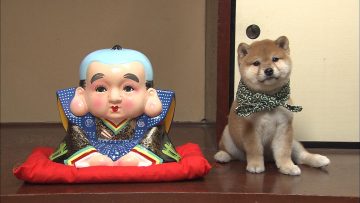 『二代目和風総本家』（テレビ東京系）「豆助っていいな。」