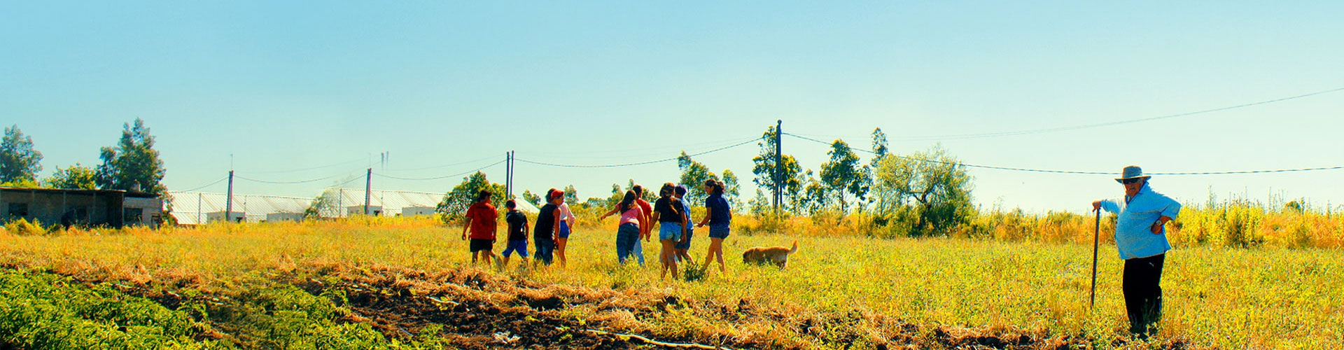 世界でいちばん貧しい大統領　愛と闘争の男、ホセ・ムヒカ