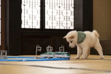 『二代目和風総本家』（テレビ東京系）「豆助っていいな。」