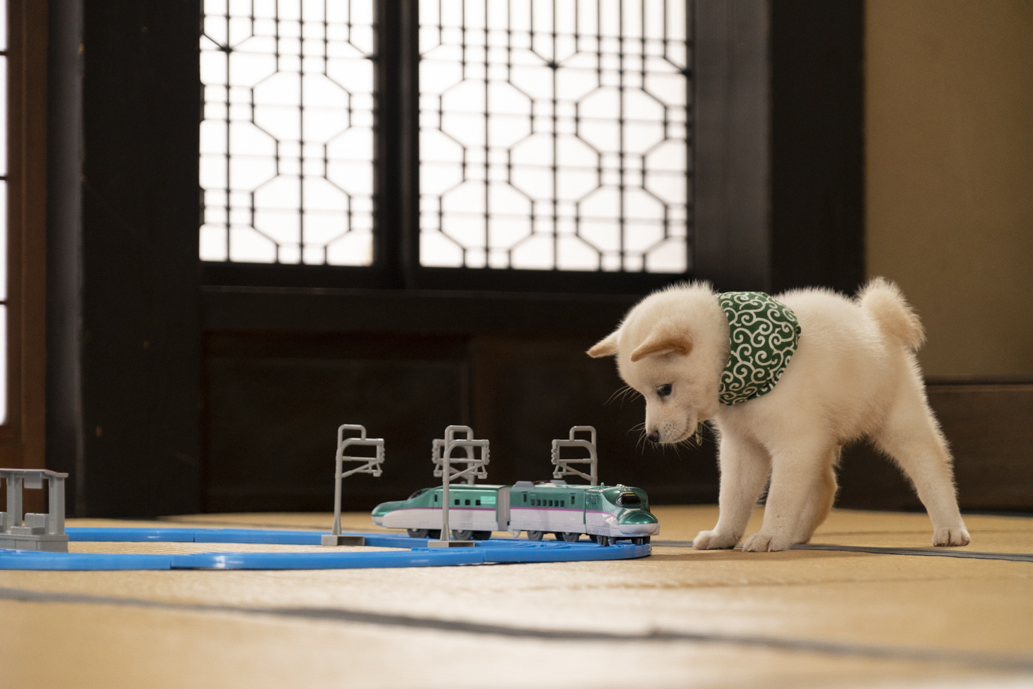 『二代目和風総本家』（テレビ東京系）「豆助っていいな。」