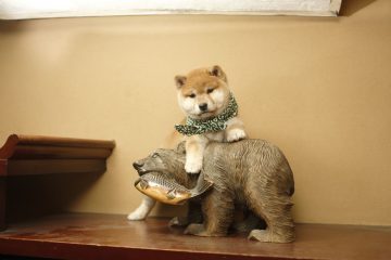 『二代目和風総本家』（テレビ東京系）「豆助っていいな。」