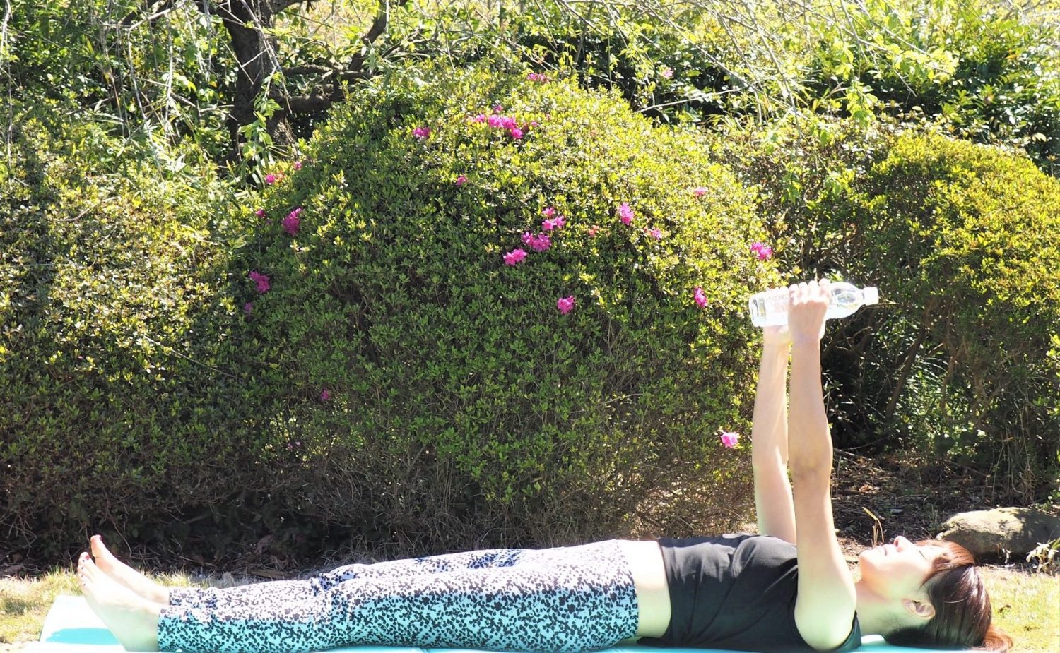 （2） ペットボトル同士を合わせるように両腕を体の前に持ち上げる～体の横に下ろす