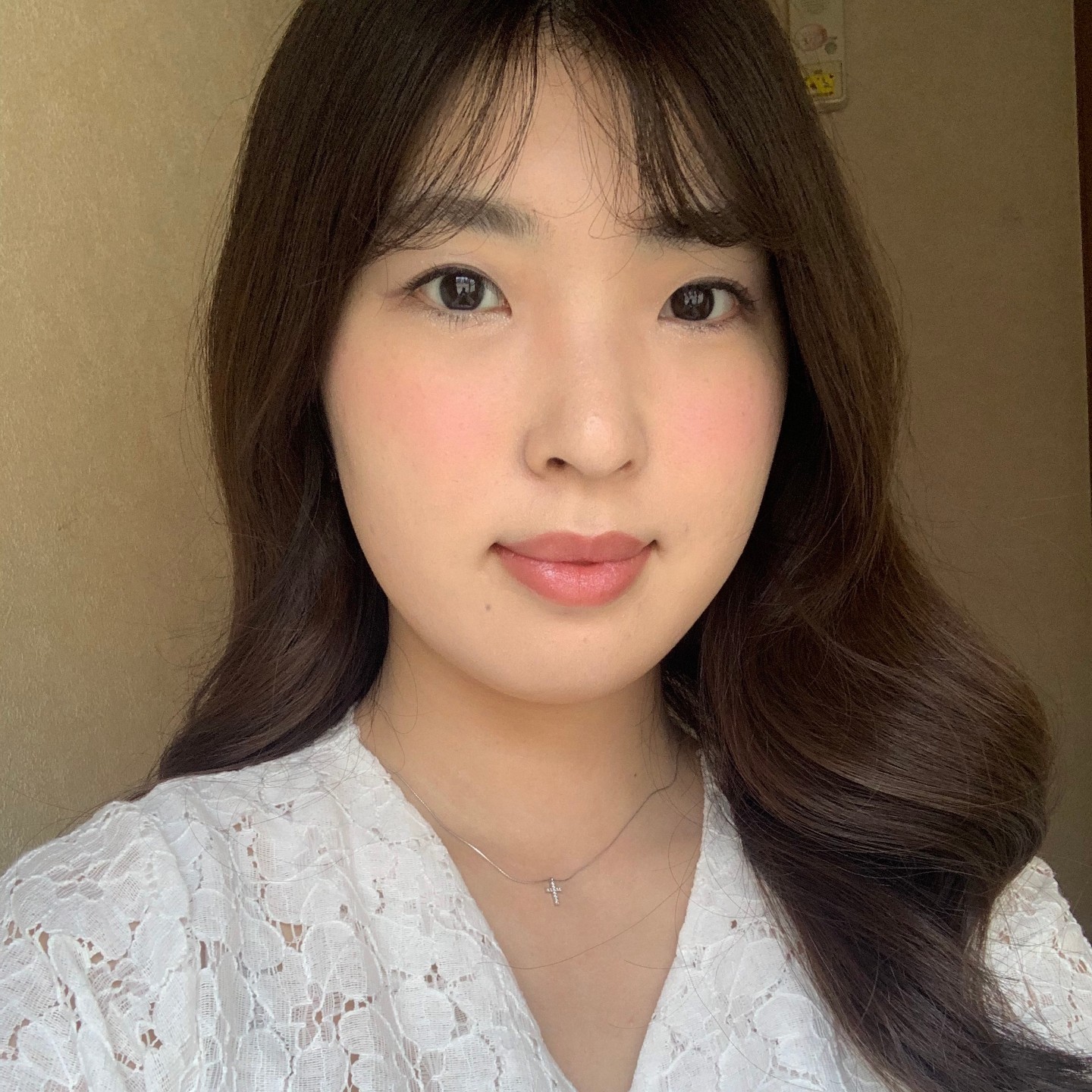 ダイソーのコラボコスメでブルベメイクをしてみた