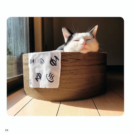 『ねこチラ』（パイ インターナショナル、3月11日発売）