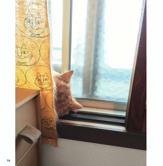 『ねこチラ』（パイ インターナショナル、3月11日発売）