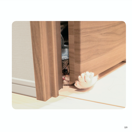 『ねこチラ』（パイ インターナショナル、3月11日発売）