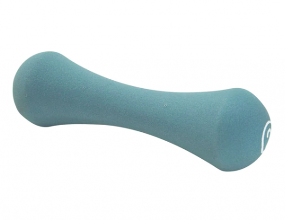 ダンベル　2kg(ブルー)740円