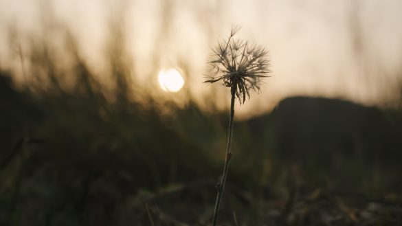 自分の心のあり方を変えることはできる