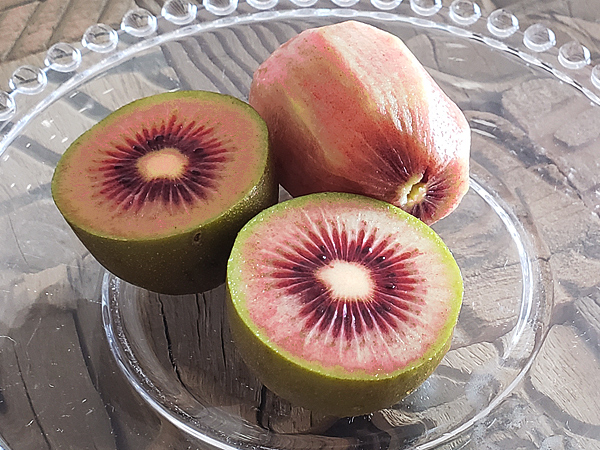 レッドキウイ（ゼスプリレッド）