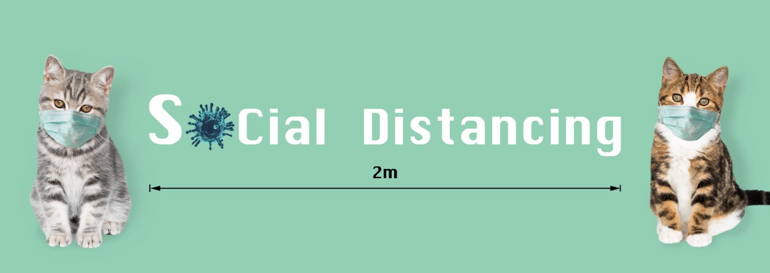 ソーシャルディスタンスsocial distancing