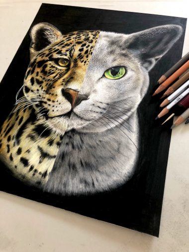 ⑤あの人気図鑑の表紙カバーも担当