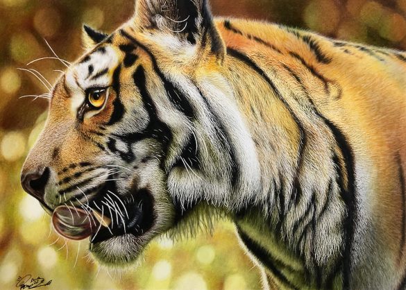 ①ワイルド×かわいいが混在する「トラの絵」