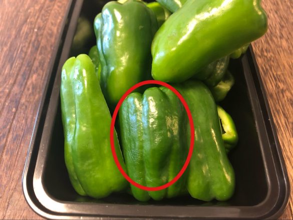 シワシワピーマン、果たしてどうなる?