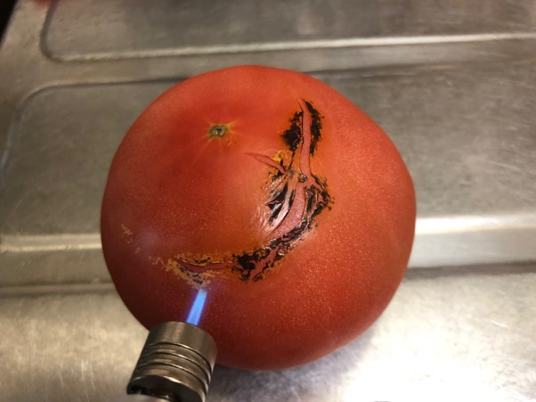 ポケトーチでトマトの皮むきにもチャレンジ