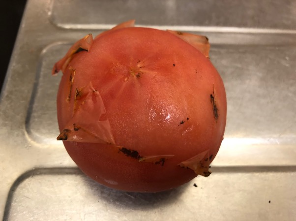 ポケトーチでトマトの皮むき、時間がかかったけど完成