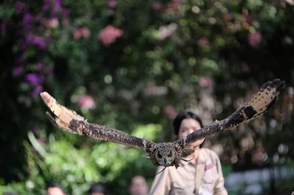 神戸どうぶつ王国