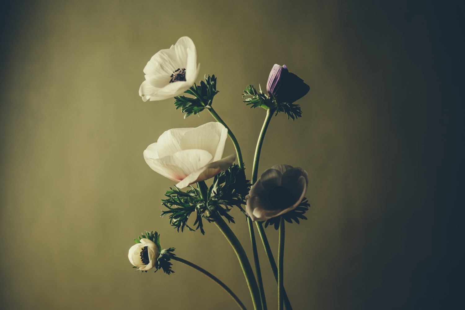 東出と渡部の違いとは？