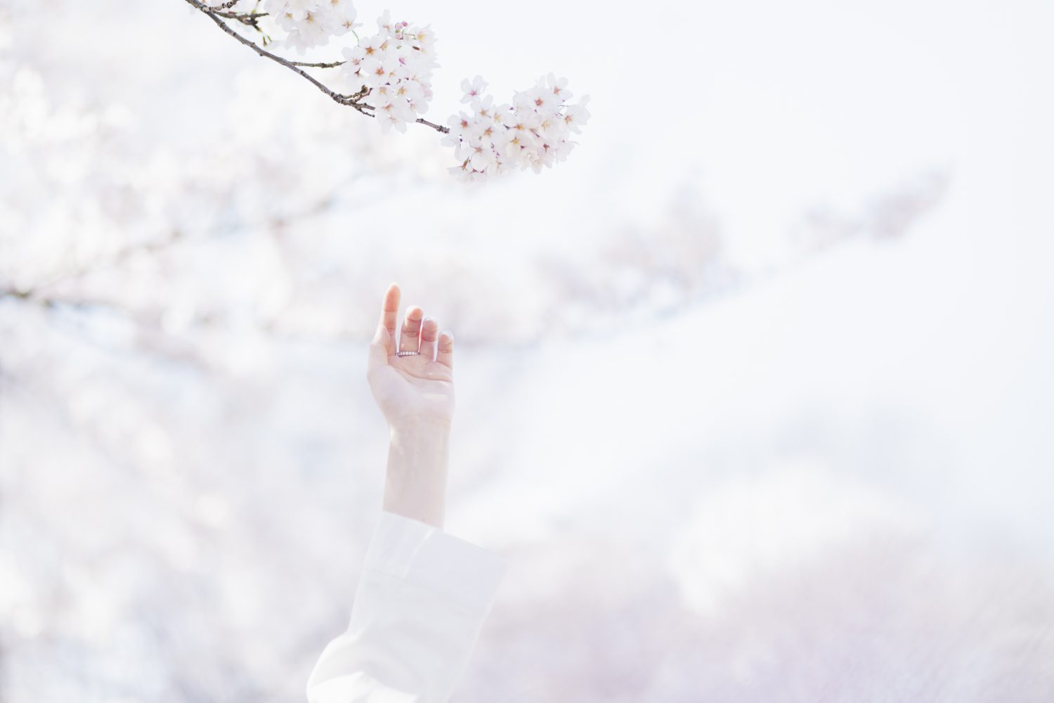 3 正しい選択をする秘訣