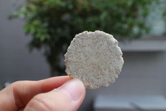 練りこまれたコオロギが確認できますね…