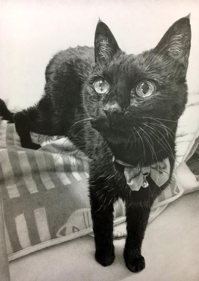 19歳のクロちゃんを描いた「19」という作品