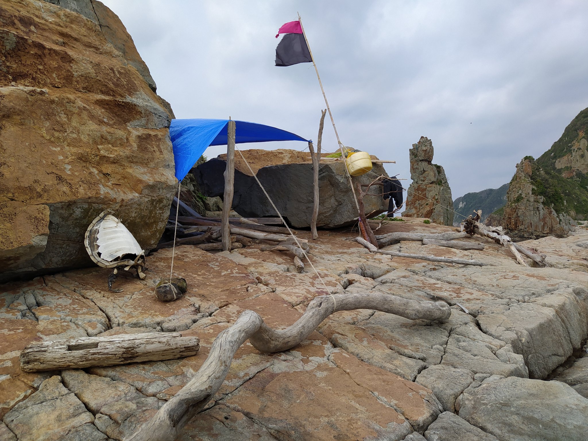 無人島ステイホーム