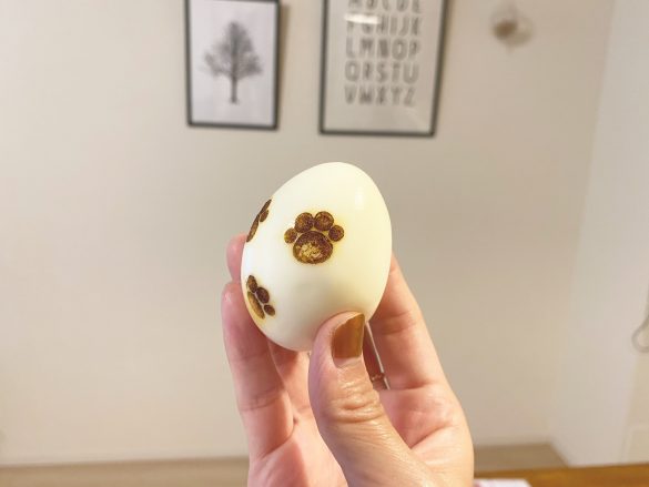 お弁当の具材や、さらにはレザーアイテムにも！ゆで卵