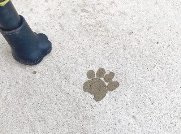 肉球スタンプ押してみた