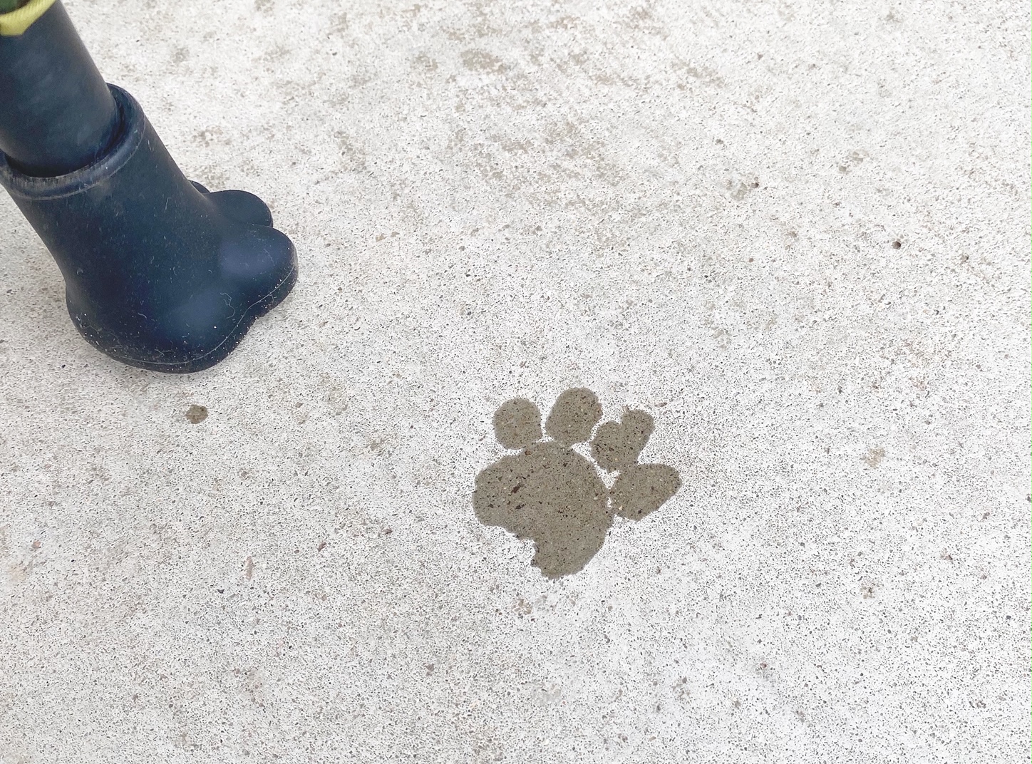 肉球スタンプ押してみた