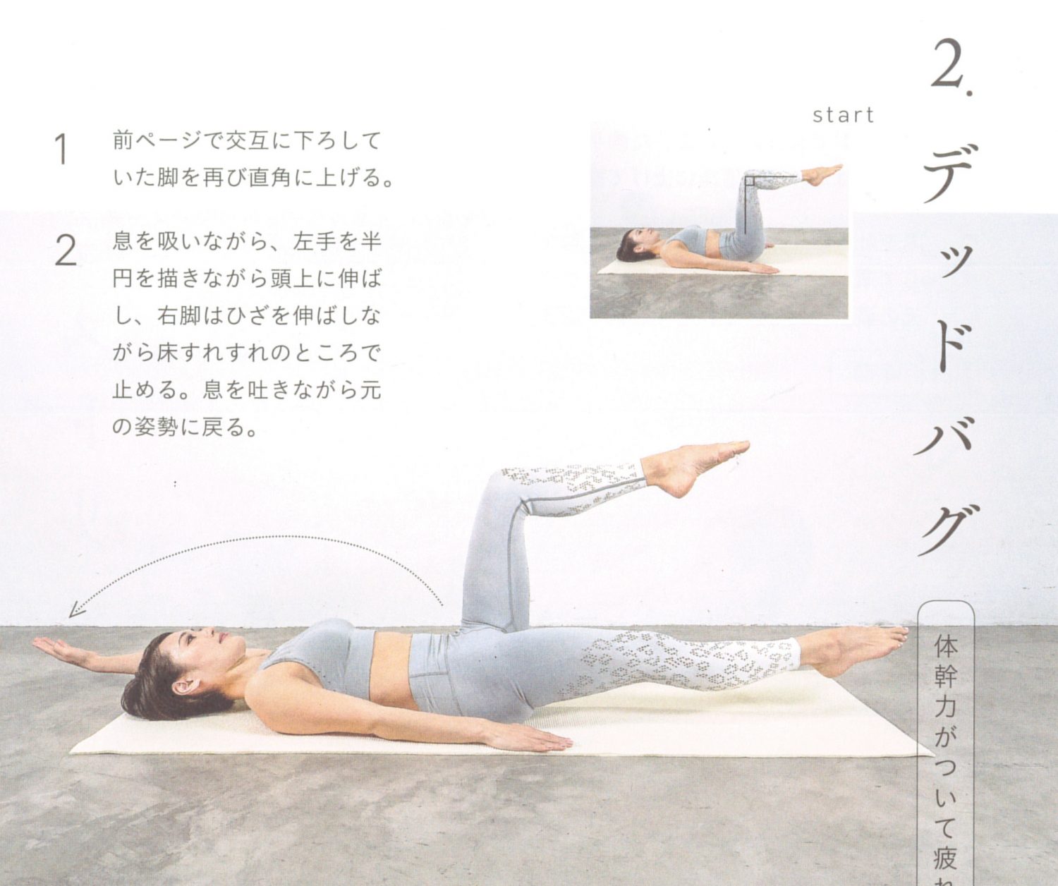 体幹を鍛えて疲れにくい体をつくる「デッドバグ」