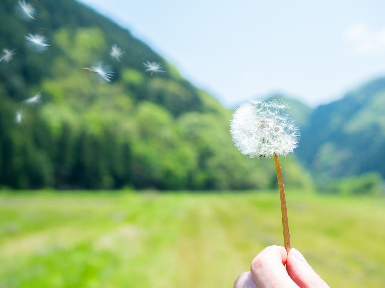 1 現状を把握するための“明らめる”ことから始める