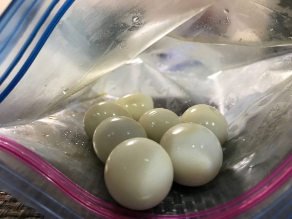 おうちで簡単燻製「燻煙加香」