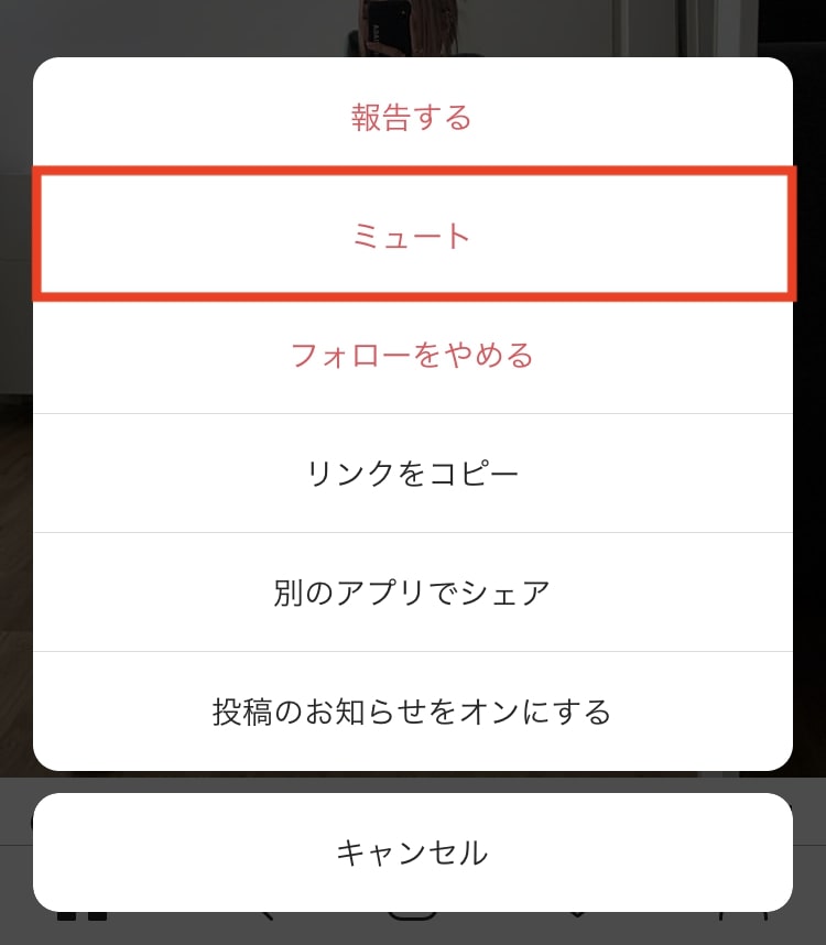 メニューの「ミュート」をタップすると「投稿をミュート」か「投稿とストーリーズをミュート」から選ぶことができる
