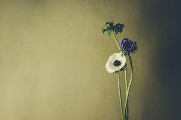 所有権の移行は愛ではない